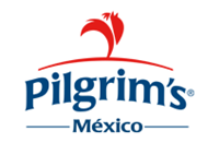 Pilgrims